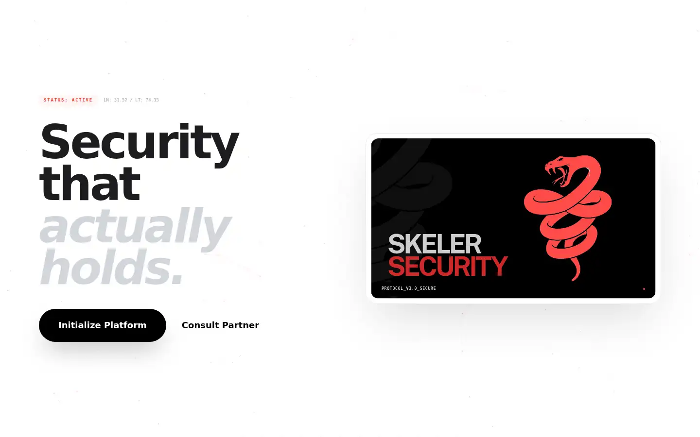 Screenshot of skelersecurity.com