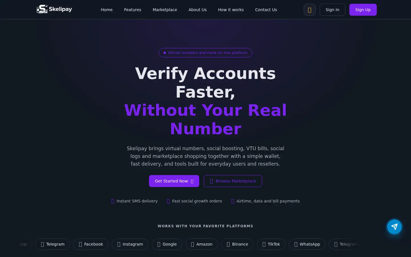 Screenshot of skelipay.com