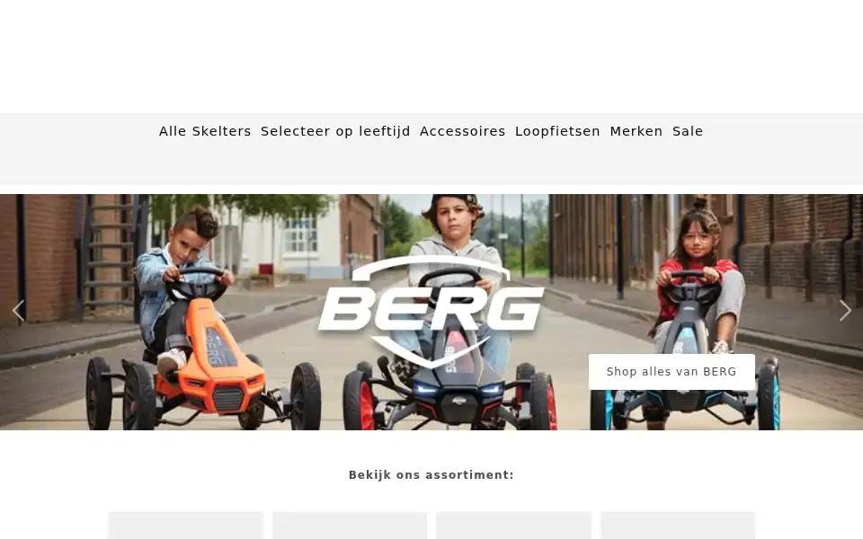 Screenshot of skelterstore.com