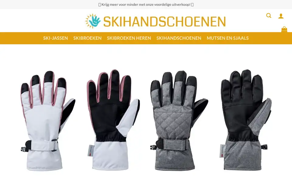 Screenshot of skigloveslageprijs.com