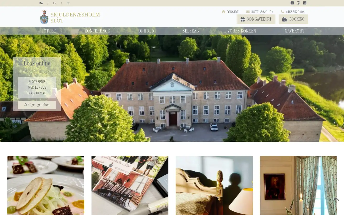 Screenshot of skj.dk