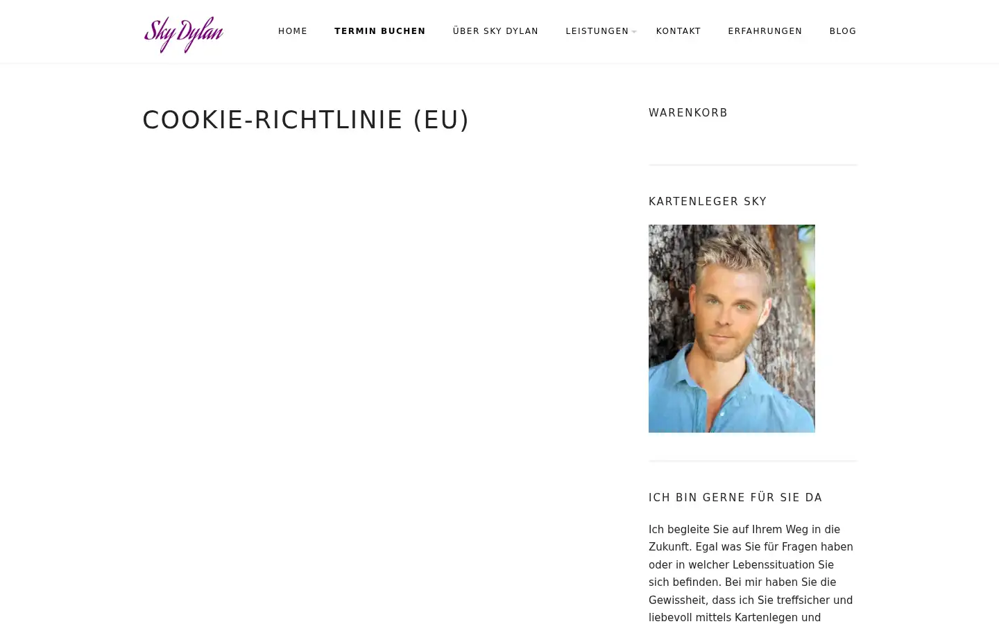 Screenshot of sky-dylan.com