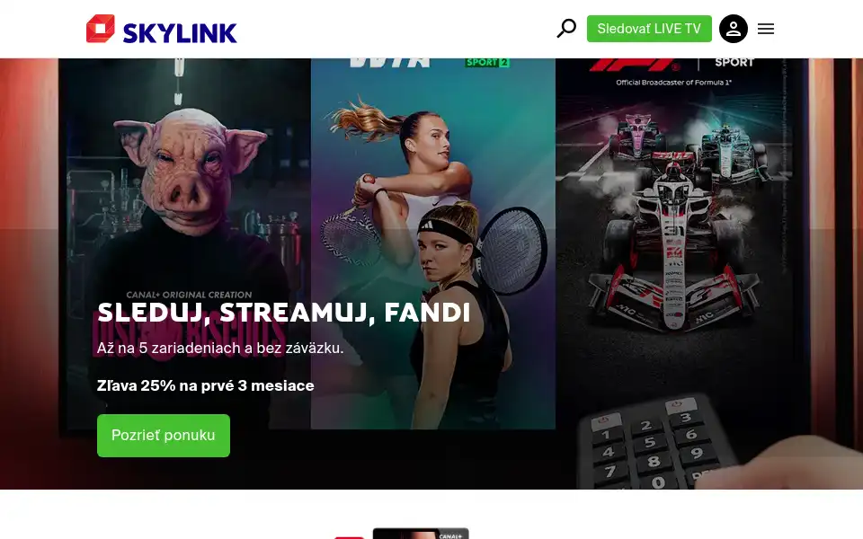 Screenshot of skylink.sk