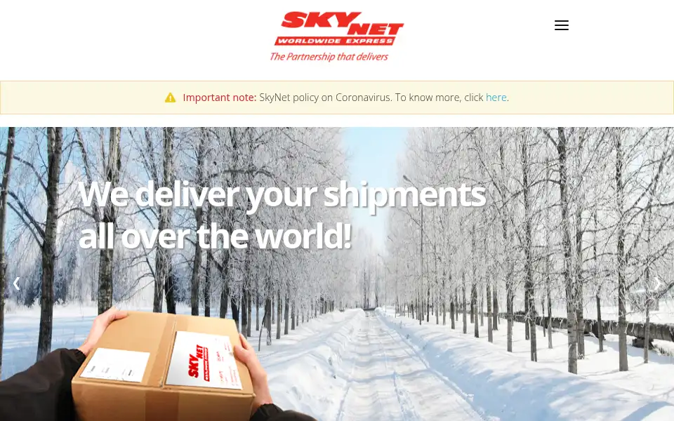 Screenshot of skynetexpress.com