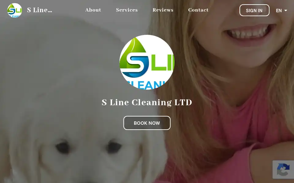 Screenshot of slinecleaning.co.uk
