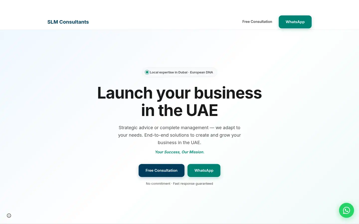 Screenshot of slmconsultants.com