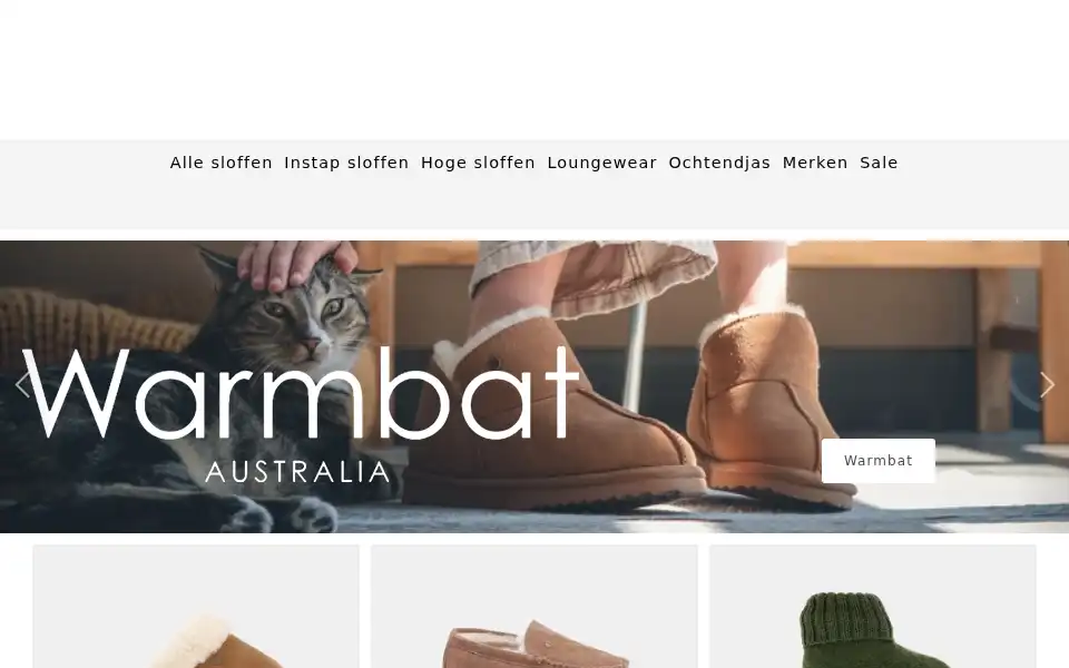 Screenshot of sloffenstore.nl