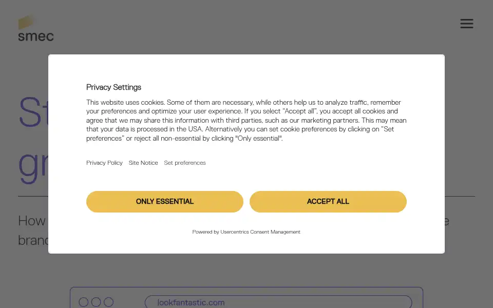 Screenshot of smarter-ecommerce.com
