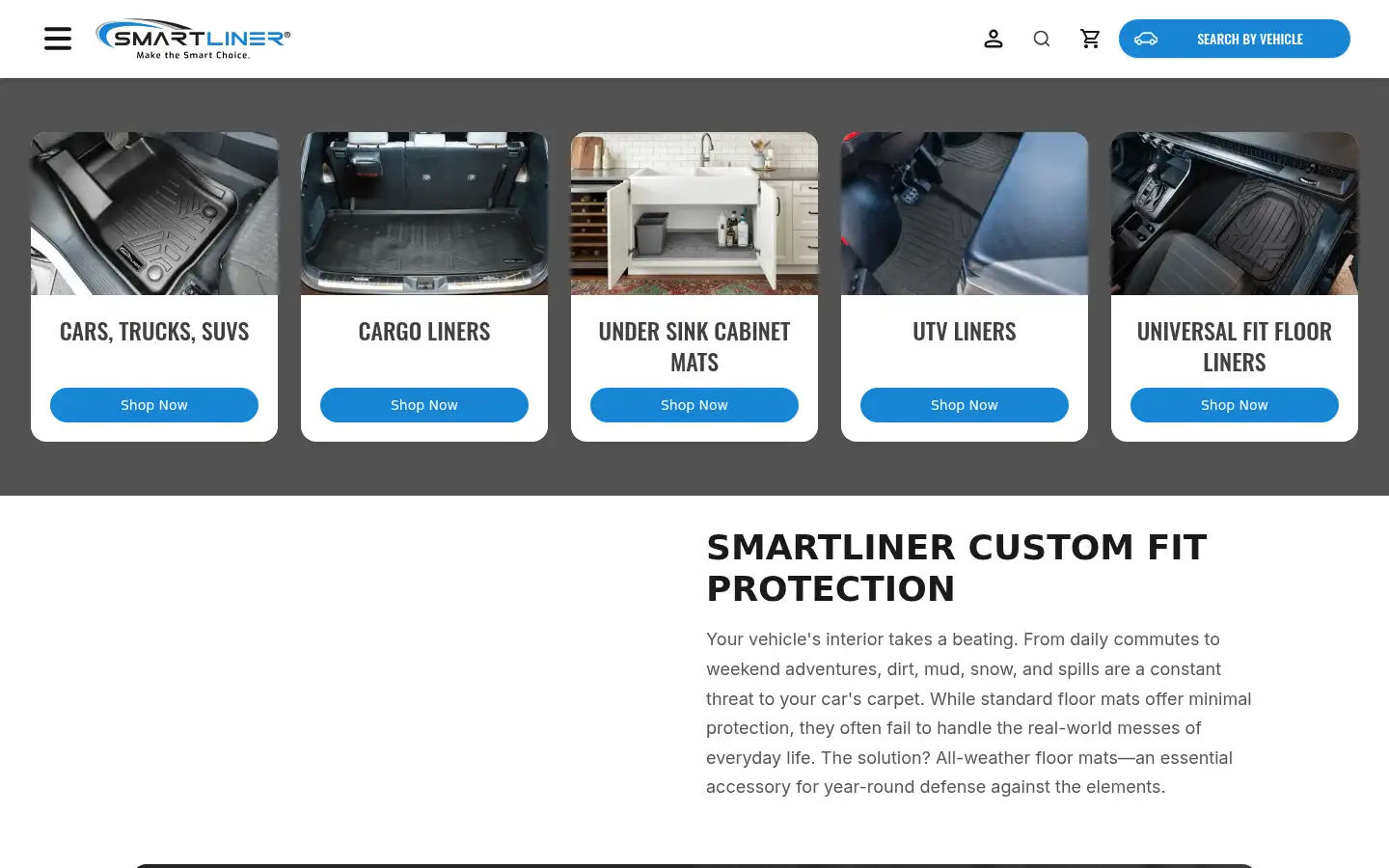 Screenshot of smartliner-usa.com