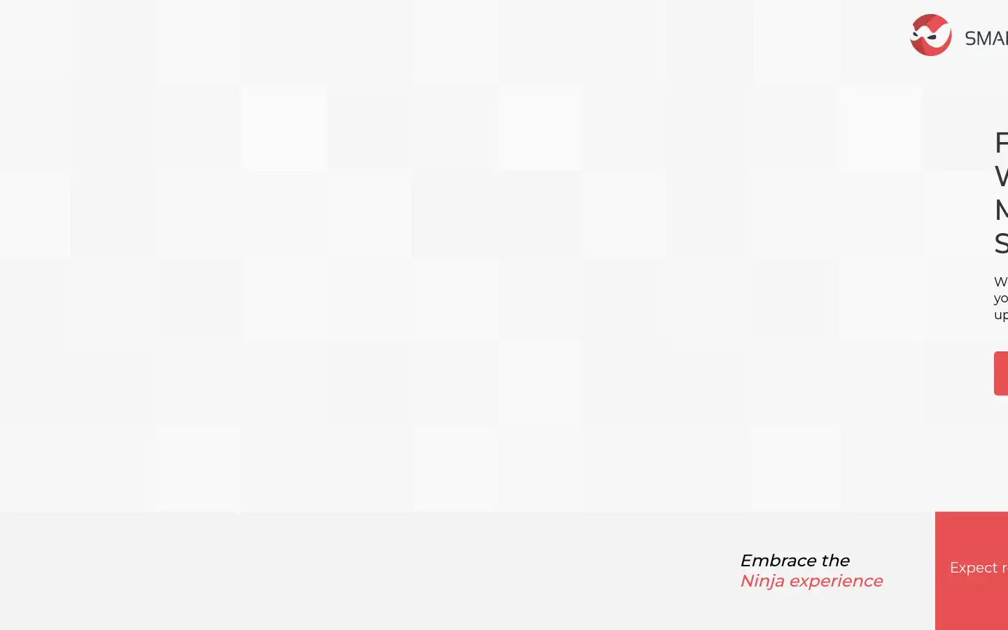 Screenshot of smartwebninja.com