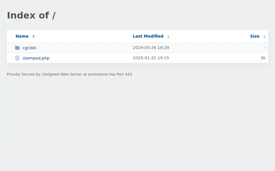 Screenshot of smmserver.top