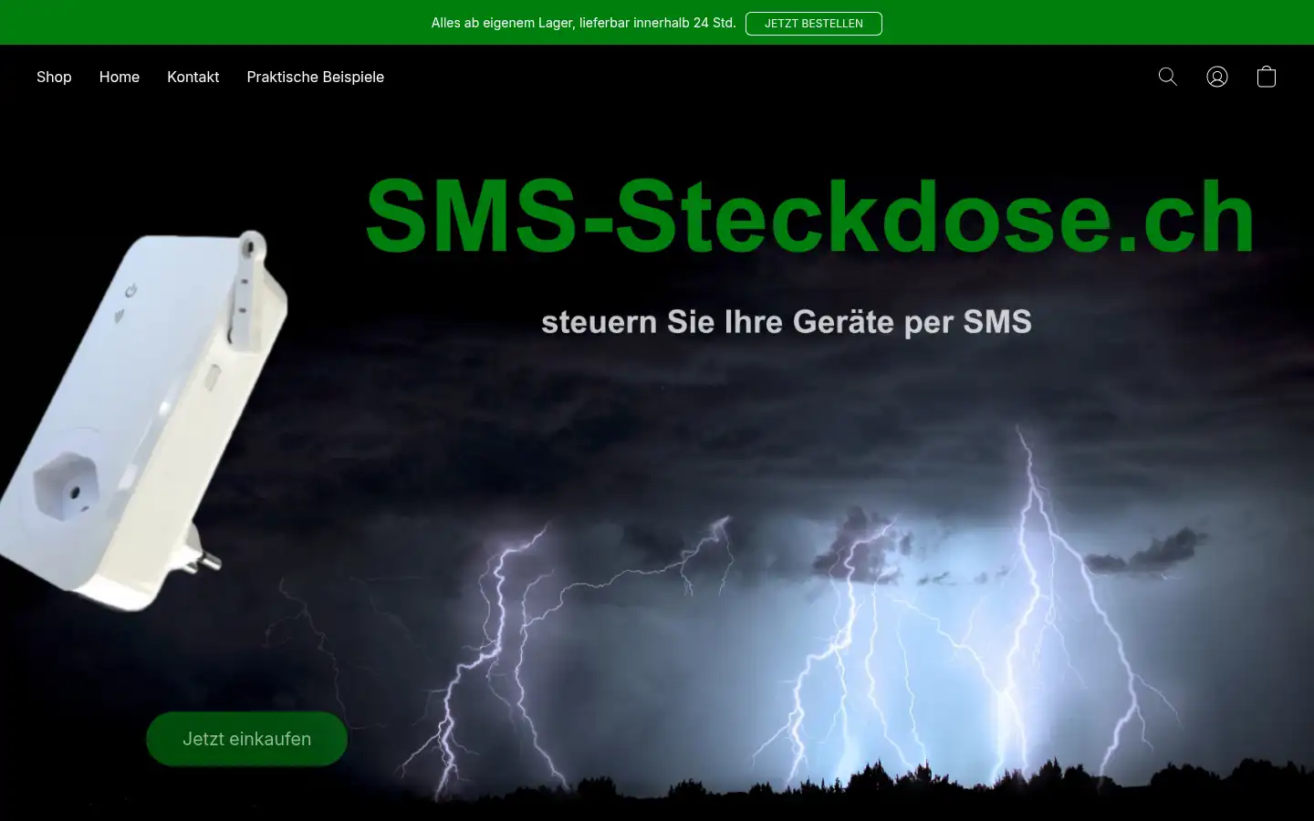 Screenshot of sms-steckdose.ch