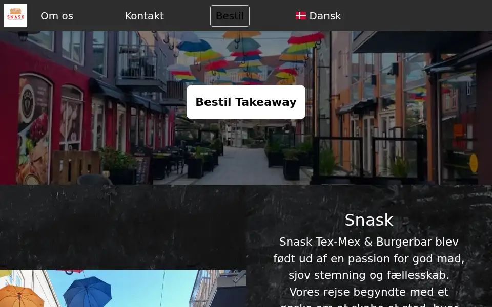 Screenshot of snaskvejle.dk