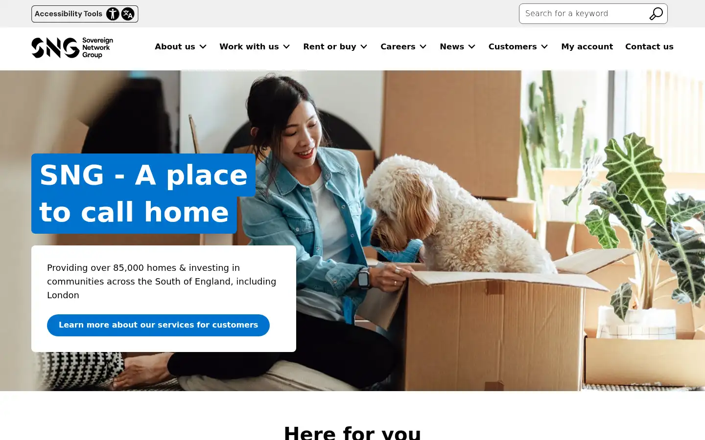 Screenshot of sng.org.uk