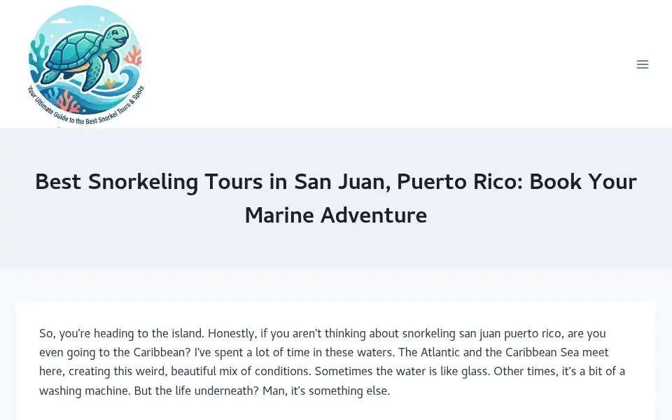 Screenshot of snorkelingsanjuanpuertorico.com