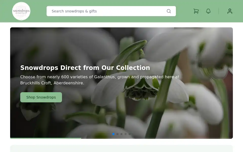 Screenshot of snowdrops.me