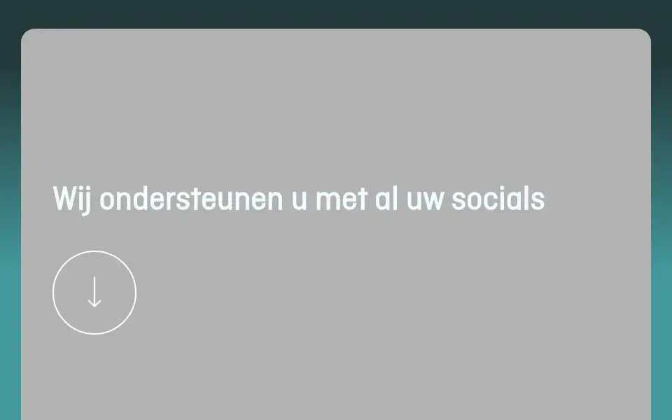 Screenshot of socialmediatools.nl
