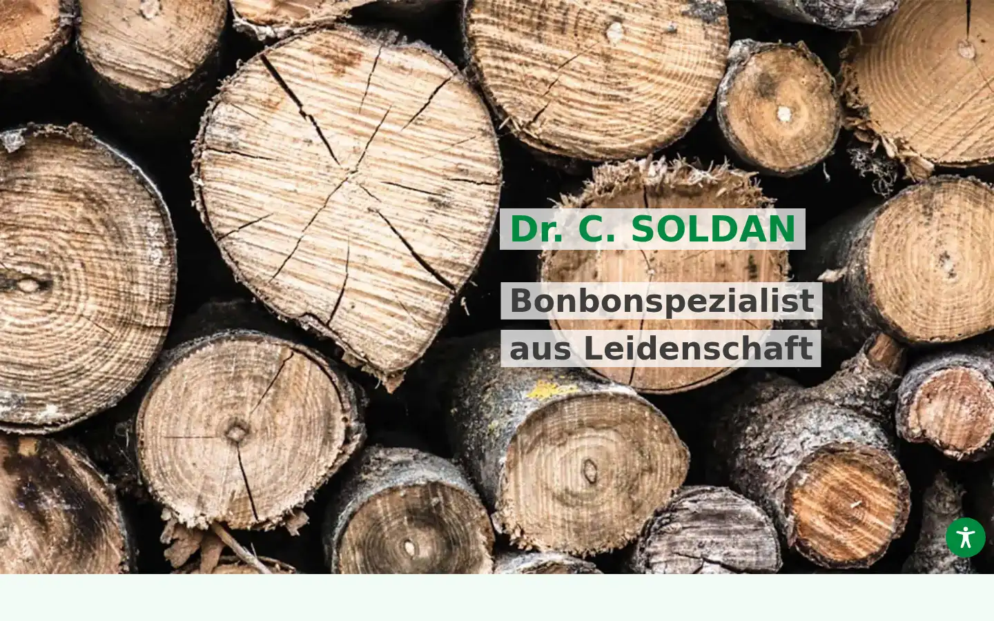 Screenshot of soldan.com