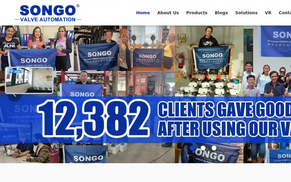 Screenshot of songovalve.com