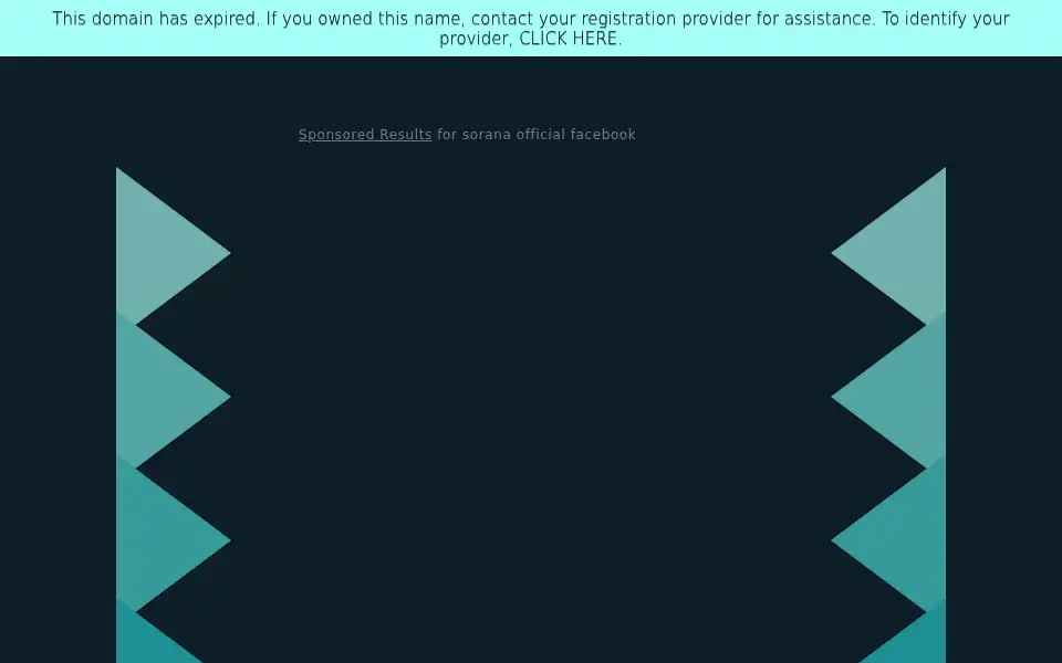 Screenshot of soranaofficial.com
