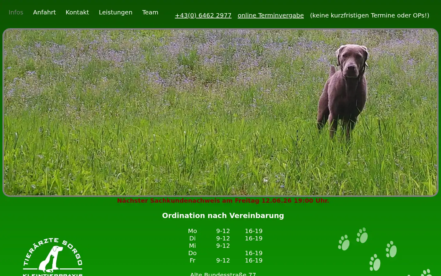 Screenshot of sorgo.cc