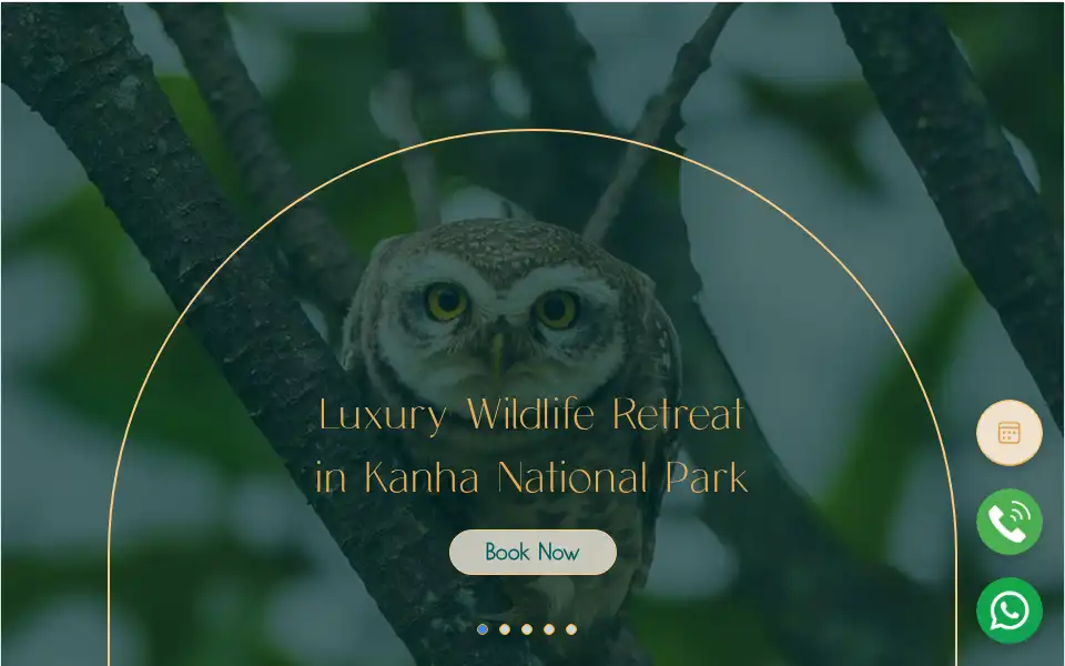 Screenshot of soulacia.com