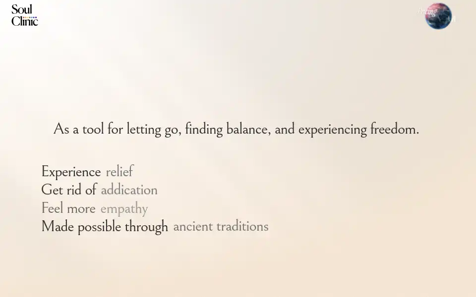 Screenshot of soulclinic.org