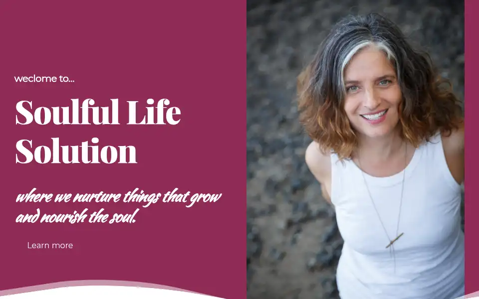Screenshot of soulfullifesolution.com