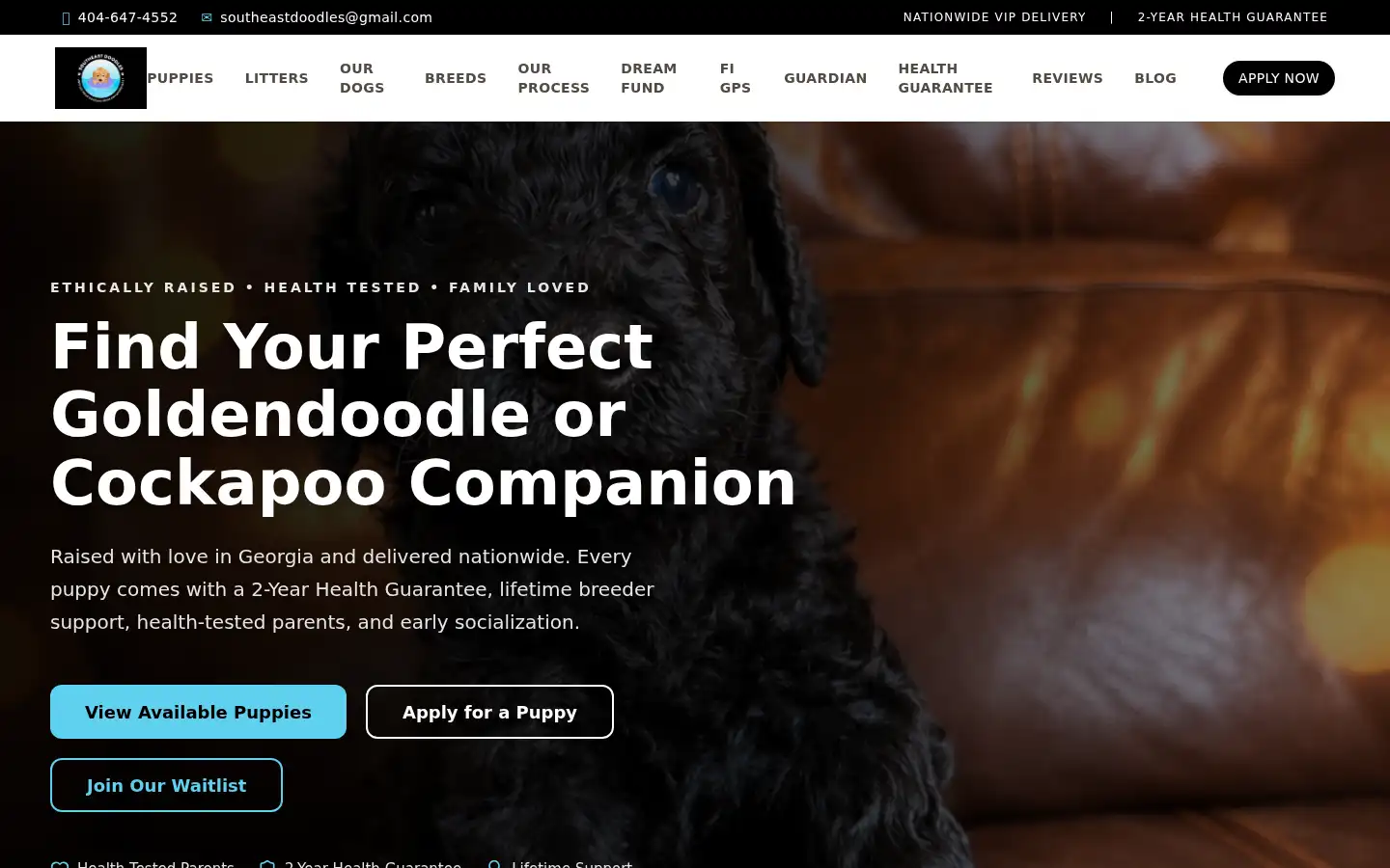 Screenshot of southeastdoodles.com