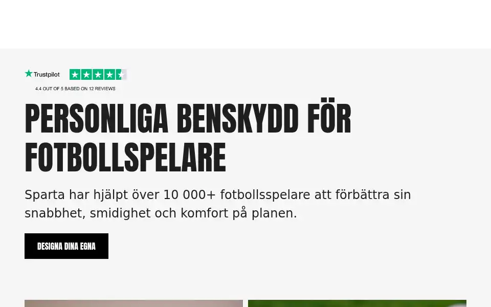 Screenshot of spartashinguard.com