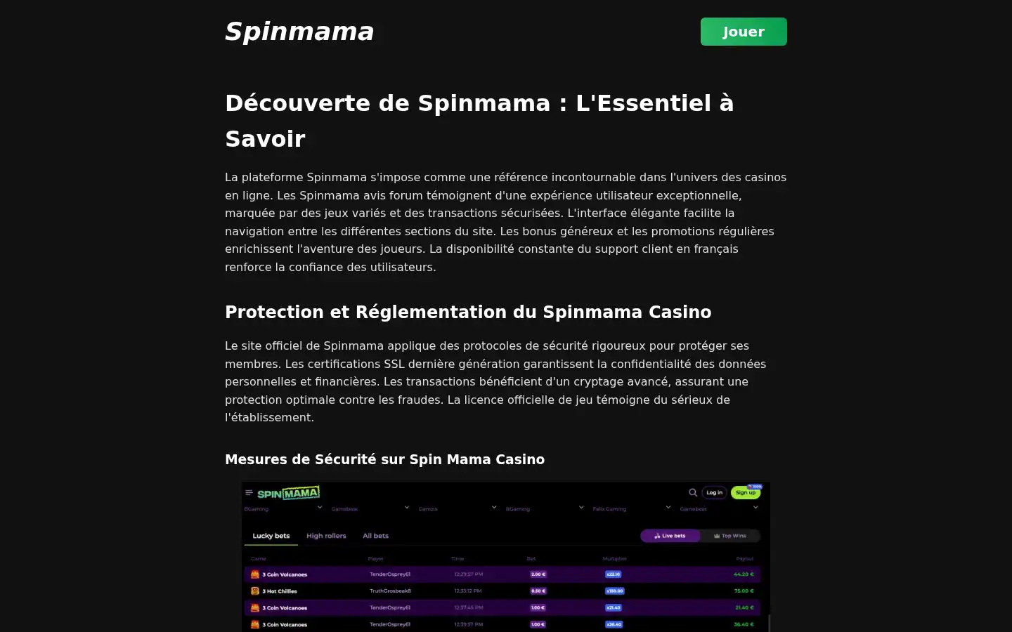 Screenshot of spin-mama.fr