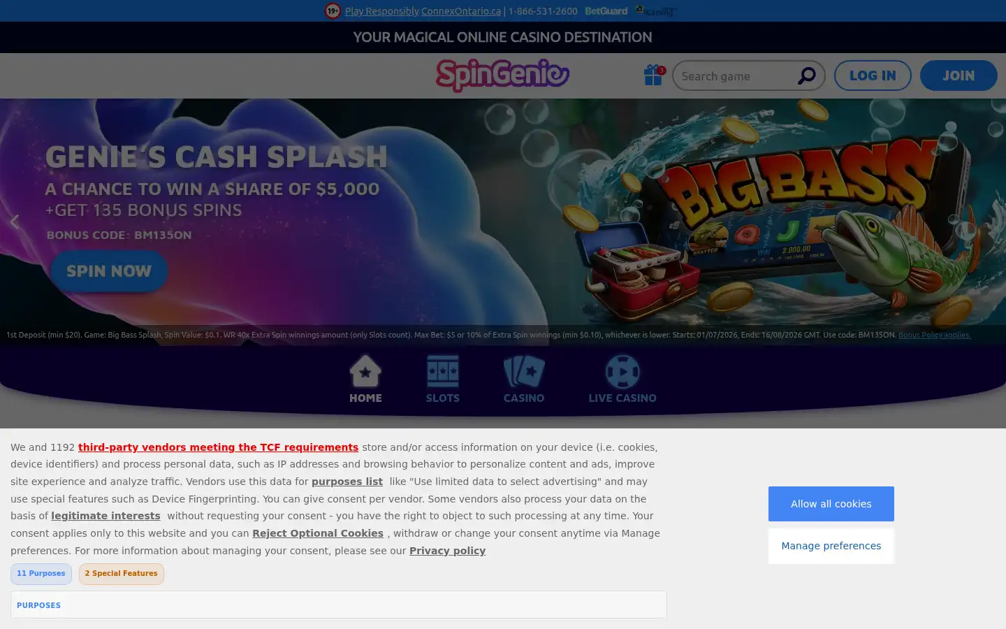 Screenshot of spingenie.ca
