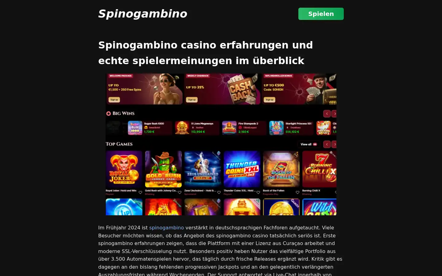 Screenshot of spino-gambino.co.at
