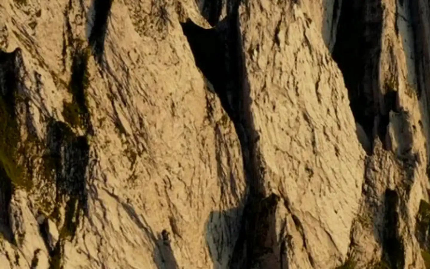 Screenshot of sport-berauer.de