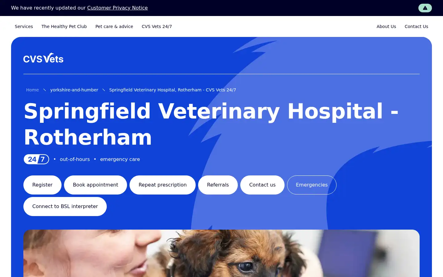 Screenshot of springfieldvetgroup.co.uk