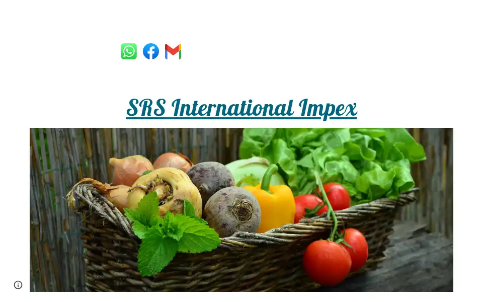 Screenshot of srsinternationalimpex.com