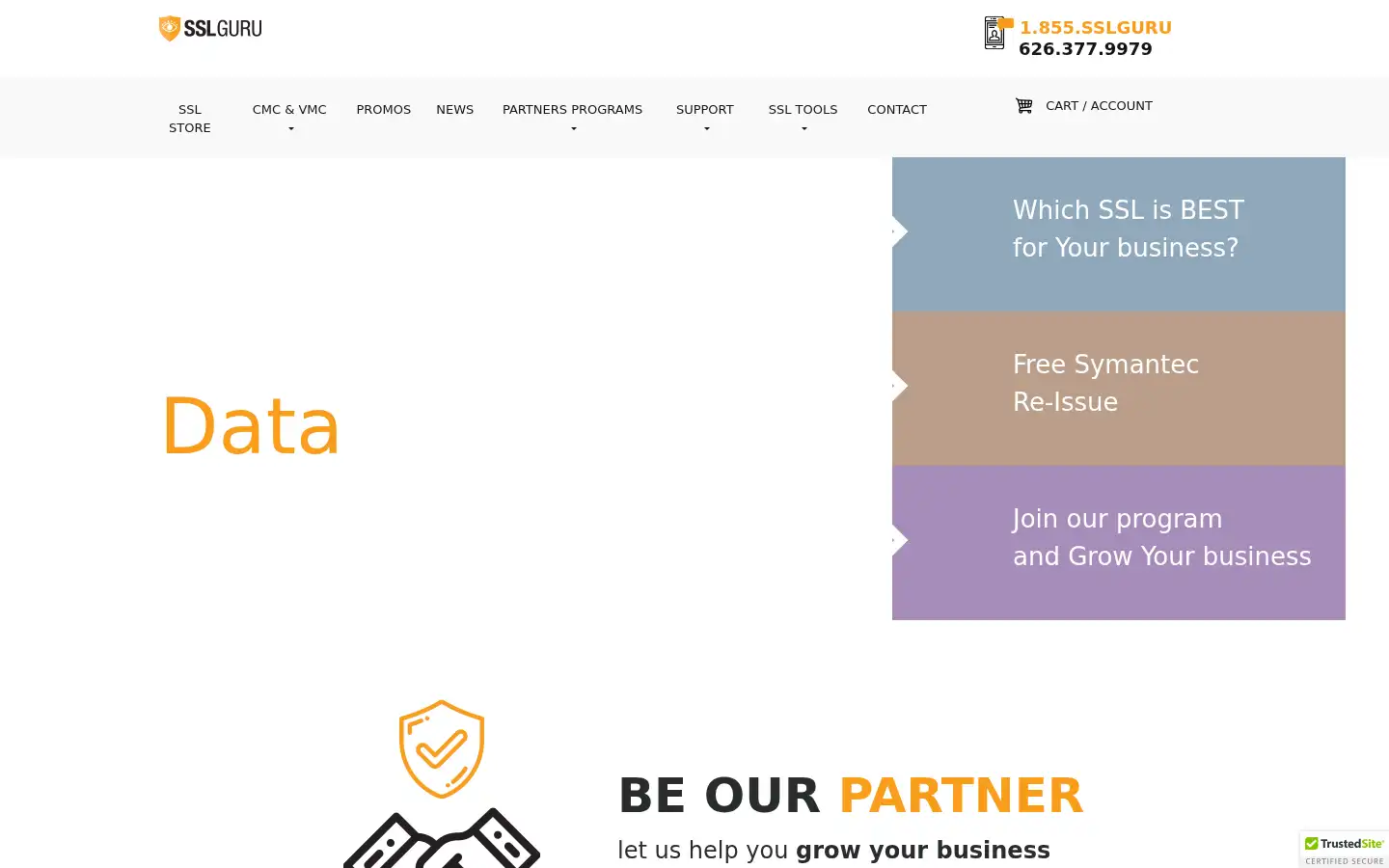 Screenshot of sslguru.com
