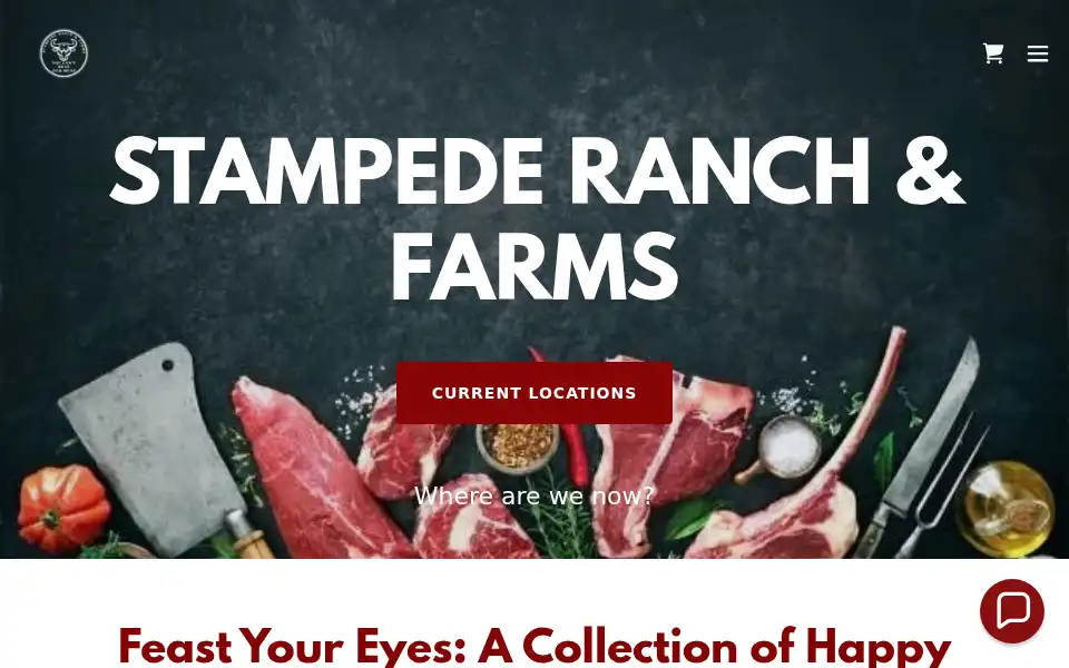 Screenshot of stampederanchandfarms.com