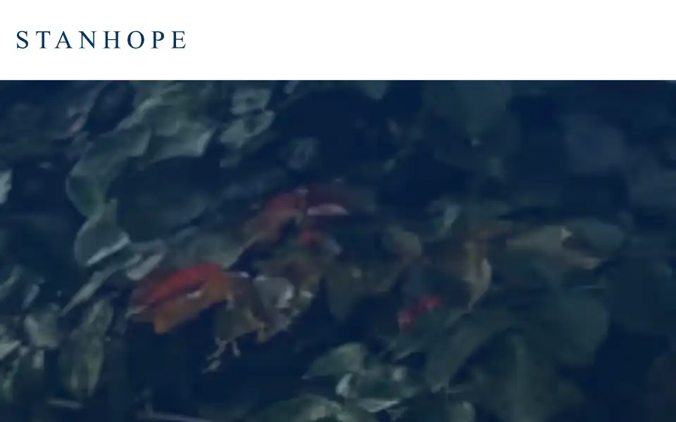 Screenshot of stanhopeinsurance.co.uk