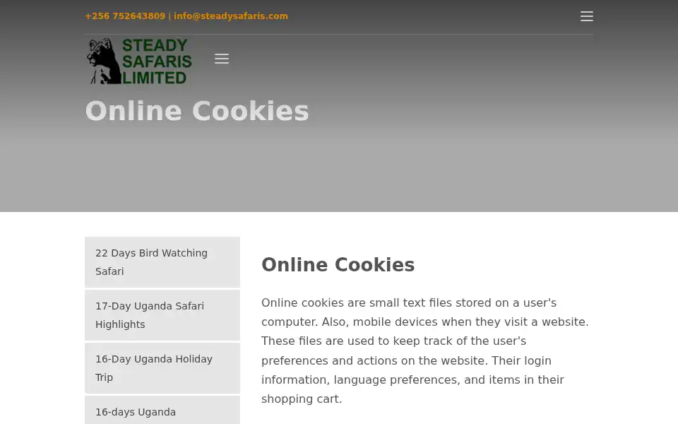 Screenshot of steadysafaris.com