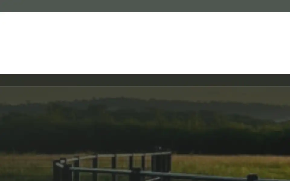 Screenshot of steellandscapingco.co.uk