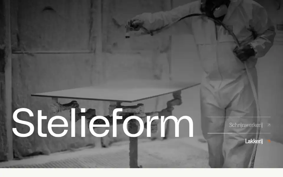 Screenshot of stelieform.be