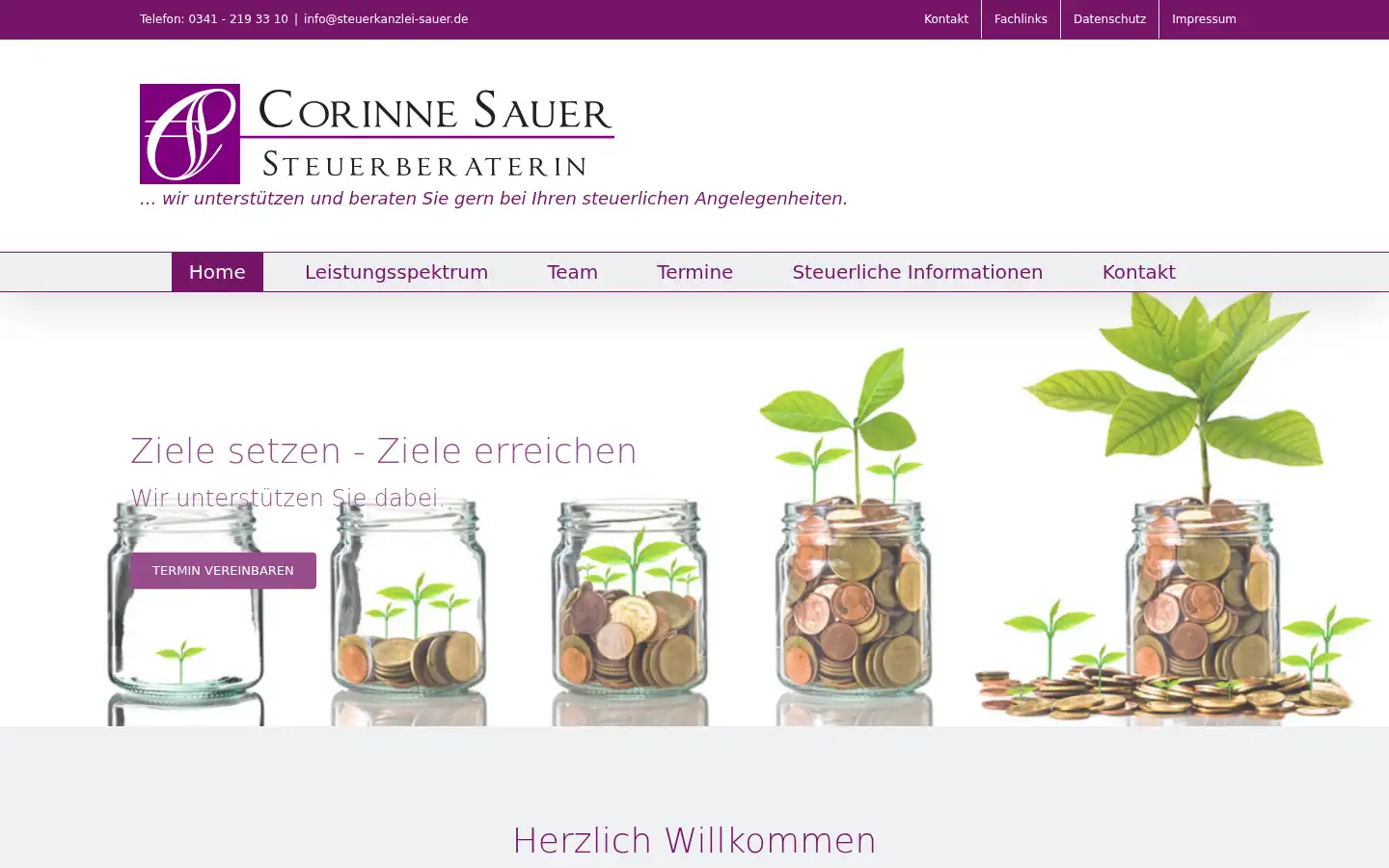 Screenshot of steuerkanzlei-sauer.de