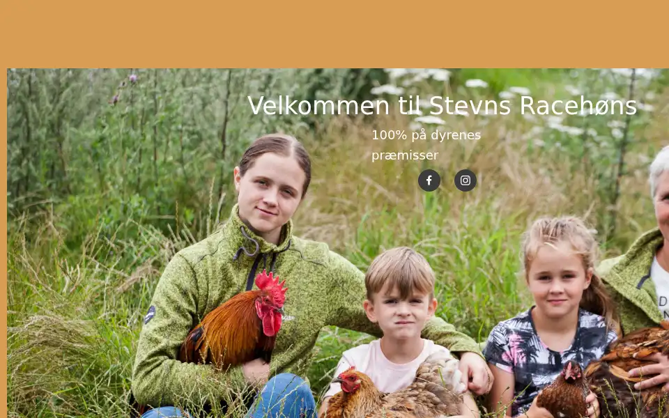 Screenshot of stevnsracehoens.dk