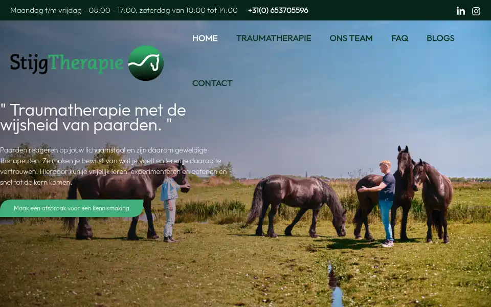 Screenshot of stijg.eu
