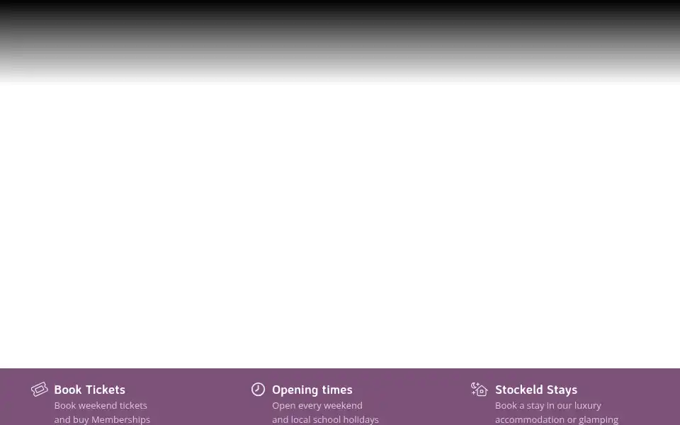 Screenshot of stockeldpark.co.uk