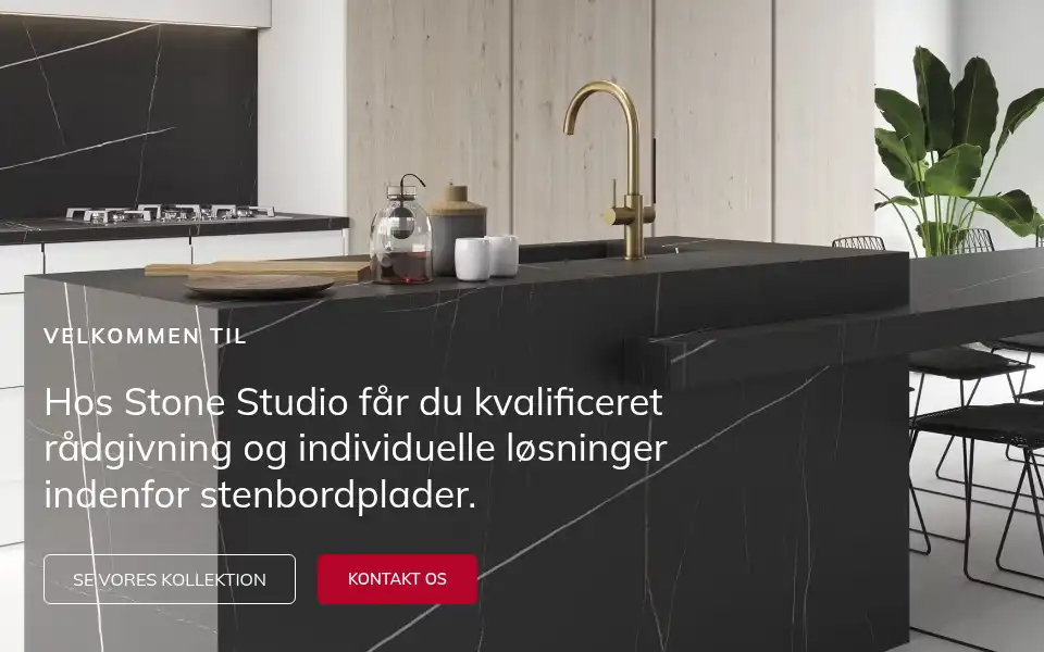 Screenshot of stonestudio.dk