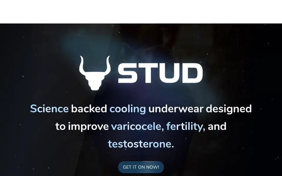 Screenshot of studbriefs.com