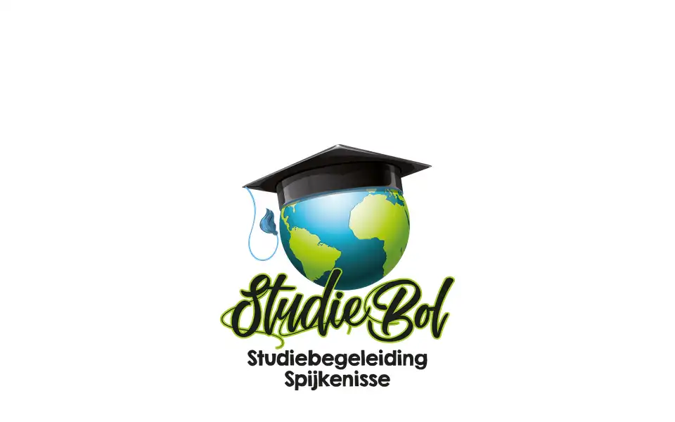 Screenshot of studiebegeleiding-spijkenisse.nl