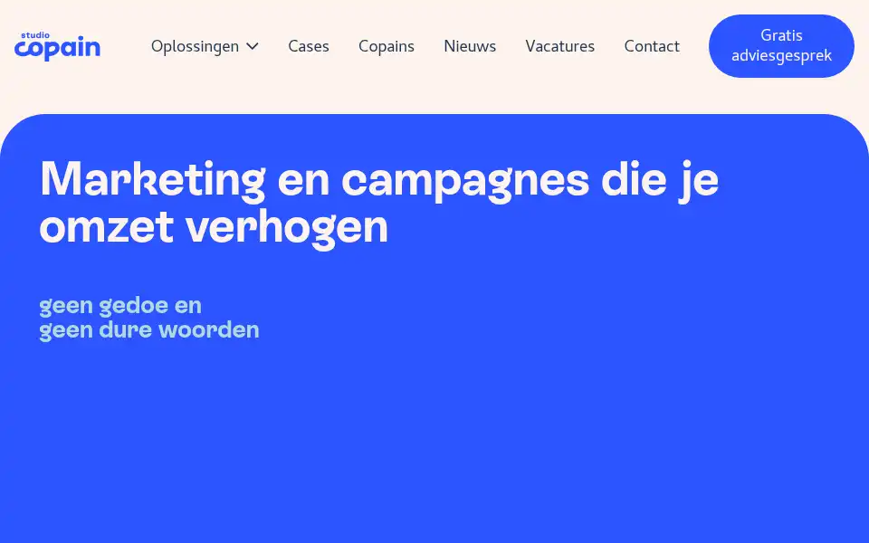 Screenshot of studiocopain.be